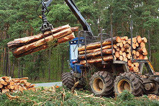 CENTRI Forestry fleet solutions
